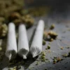 Greenhouse • Mango Pie Pre-Roll For Sale