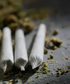 Greenhouse • Mango Pie Pre-Roll For Sale