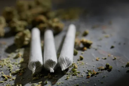 Greenhouse • Mango Pie Pre-Roll For Sale