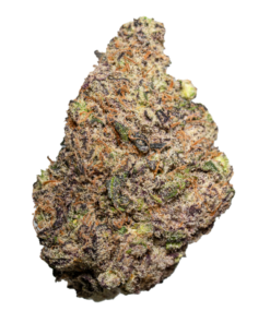 Lizard Breath For Sale