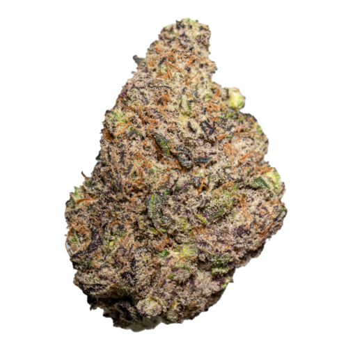 Lizard Breath For Sale