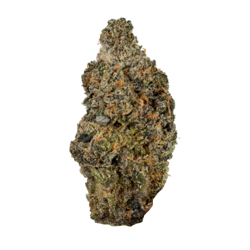 Buy Mendo Breath Online