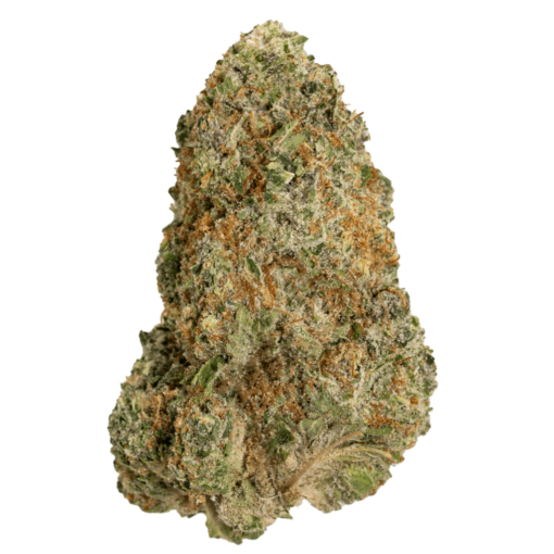 Order Orange Push Online