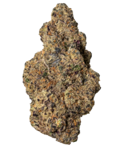 Buy Purple Burger is a hybrid strain with 25.44% THC, offering balanced effects and a savory, sweet flavor profile with earthy and berry notes.