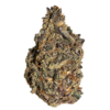 Buy Scorpion Tears Online