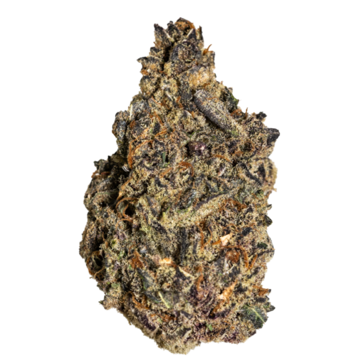 Buy Scorpion Tears Online