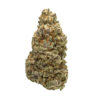 Buy Tropical Thunder Online