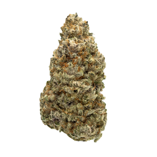 Buy Tropical Thunder Online