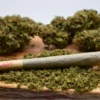 Order Pre-Roll ground bud Online