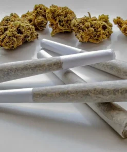 Buy Cannabis Pre-Roll Blunts Online
