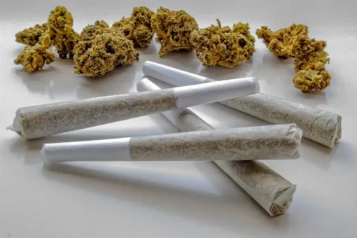 Buy Cannabis Pre-Roll Blunts Online